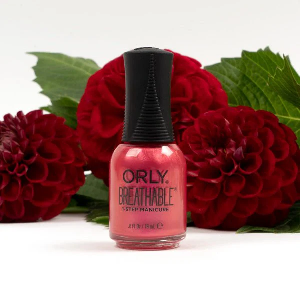 All Dahlia’d Up - Image 7