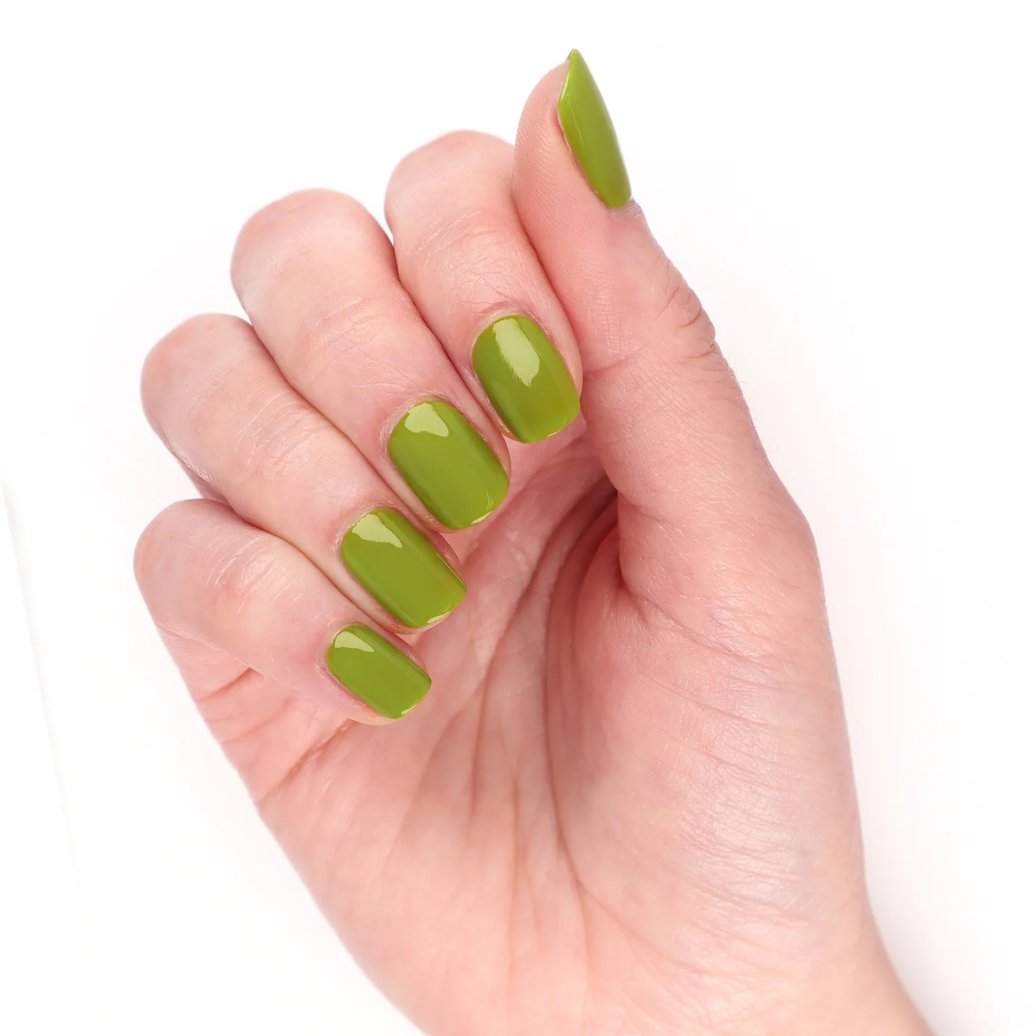 Avocado Kitchen - Image 4
