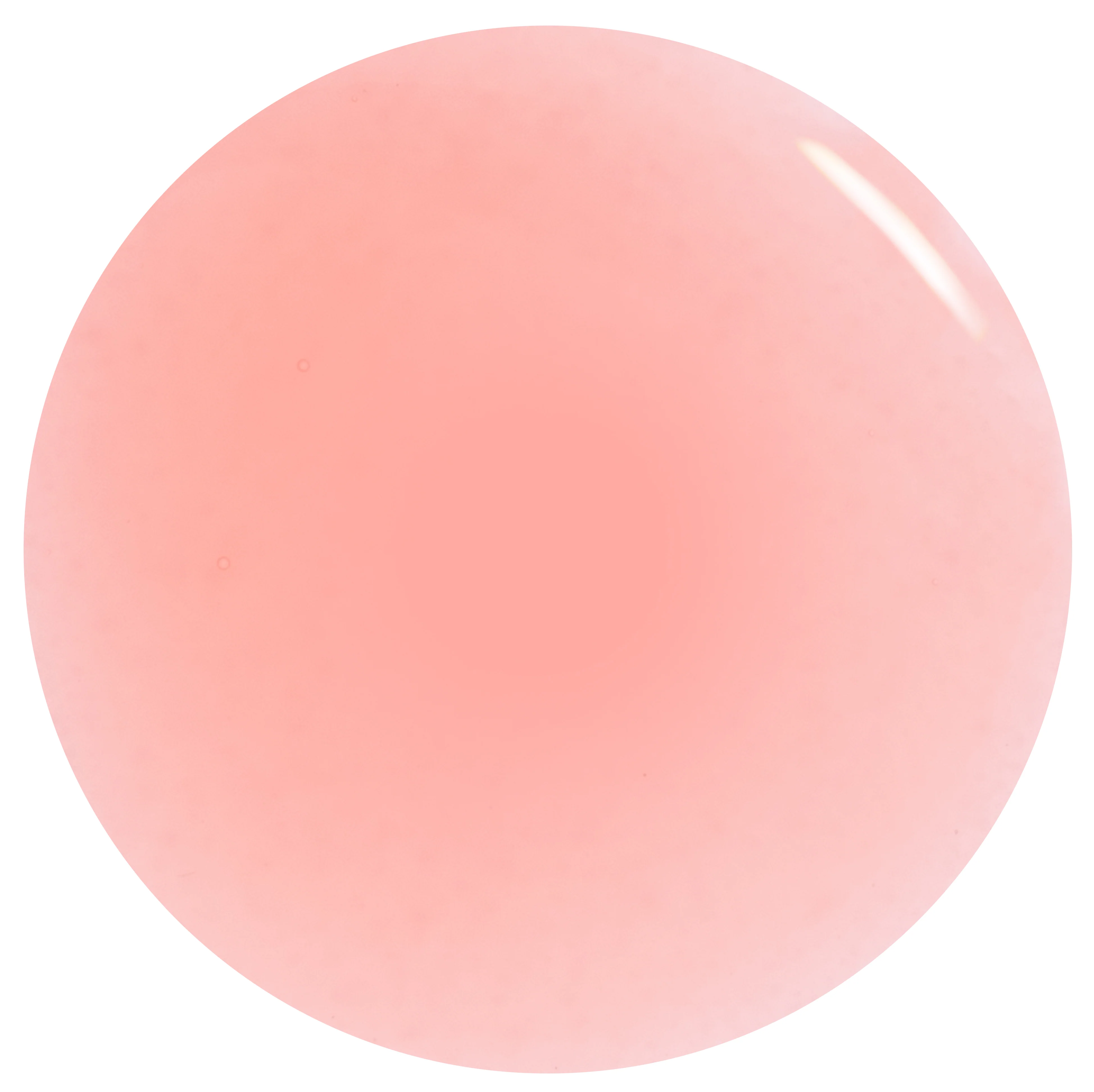 Bare Rose - Image 4