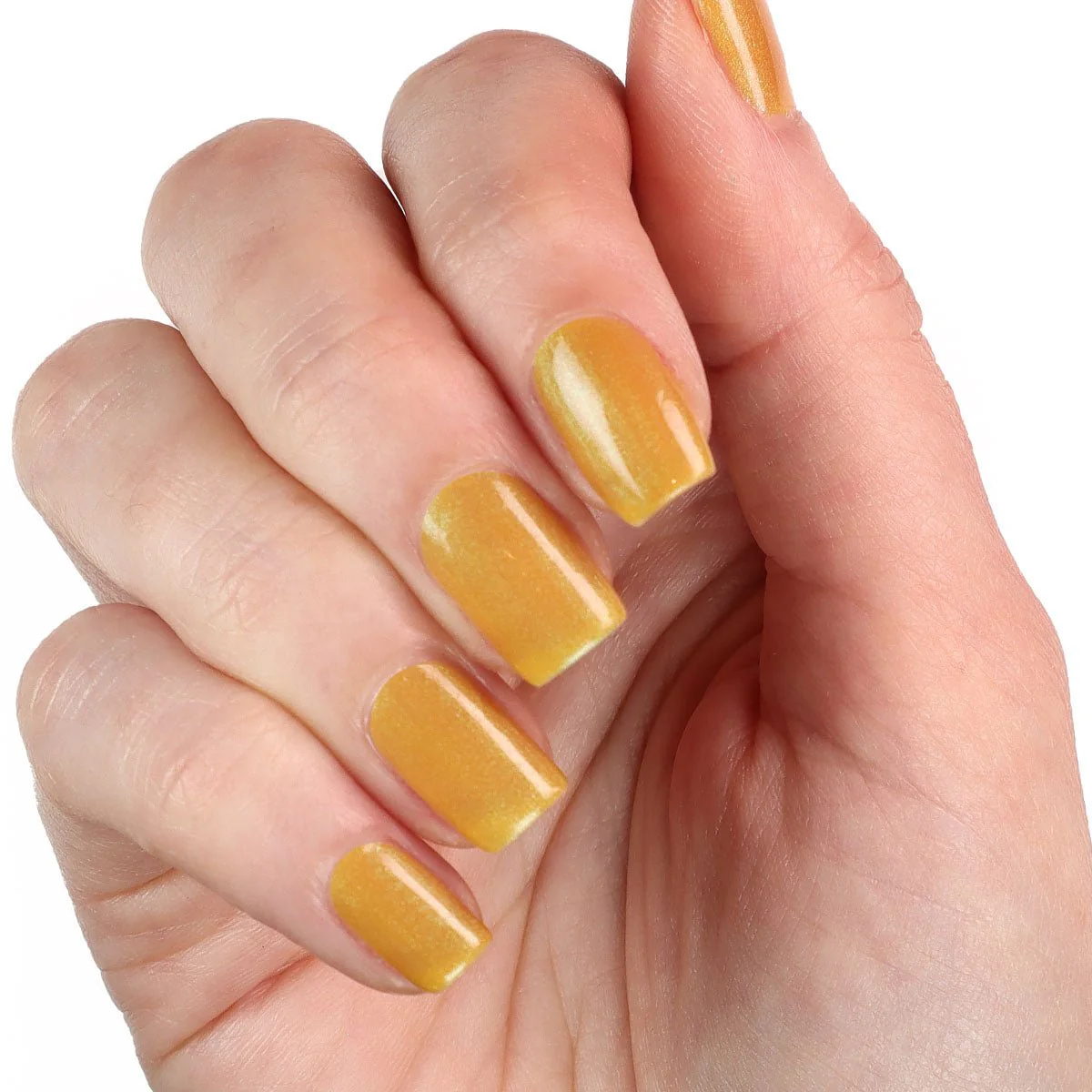 Gilded Dune - Image 5