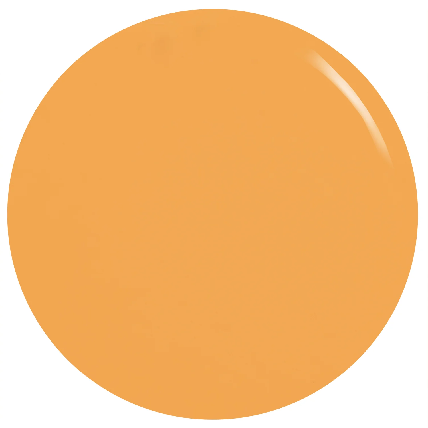 Hunky Dory - Gel Nail Color - Image 3