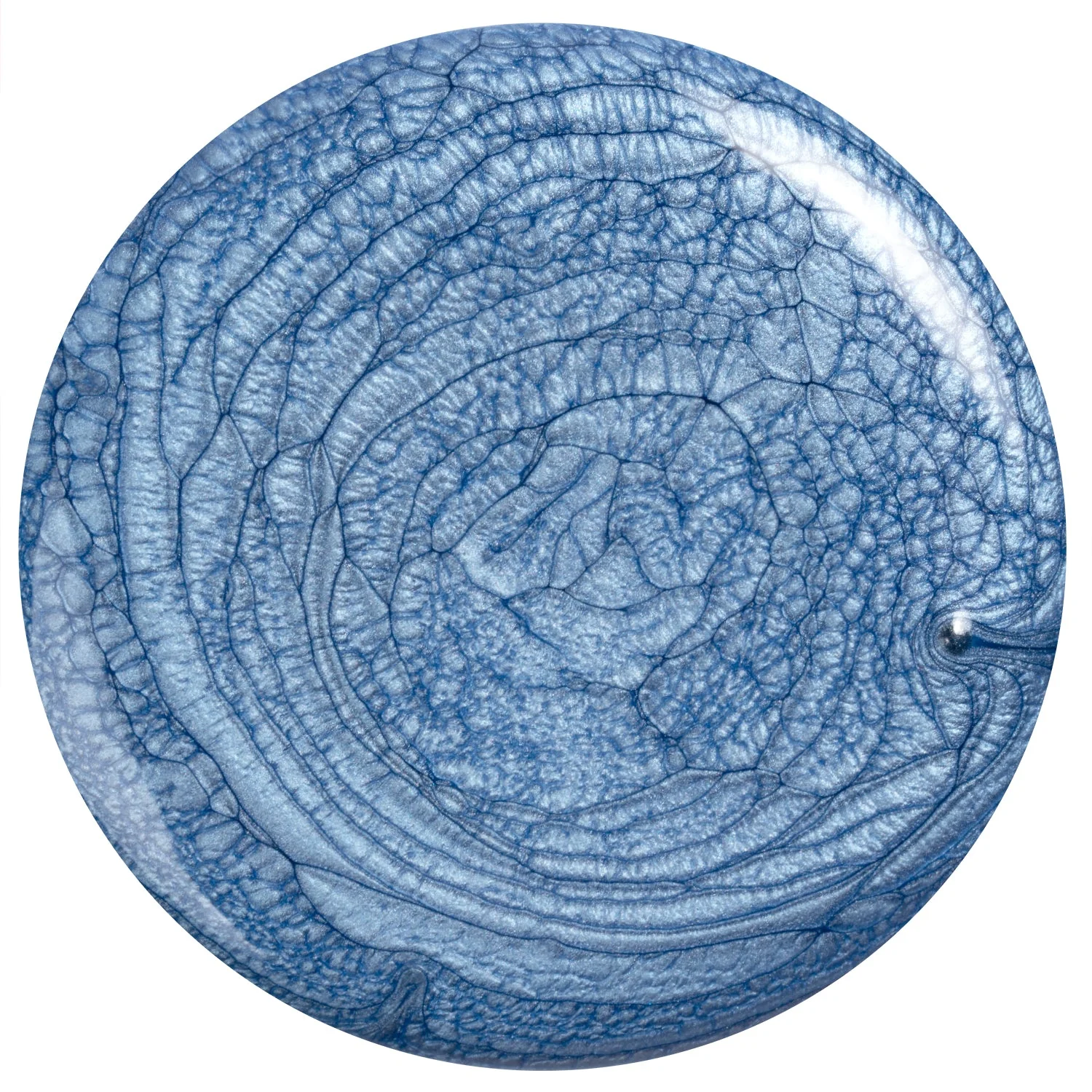 Lost Treasure - Image 5