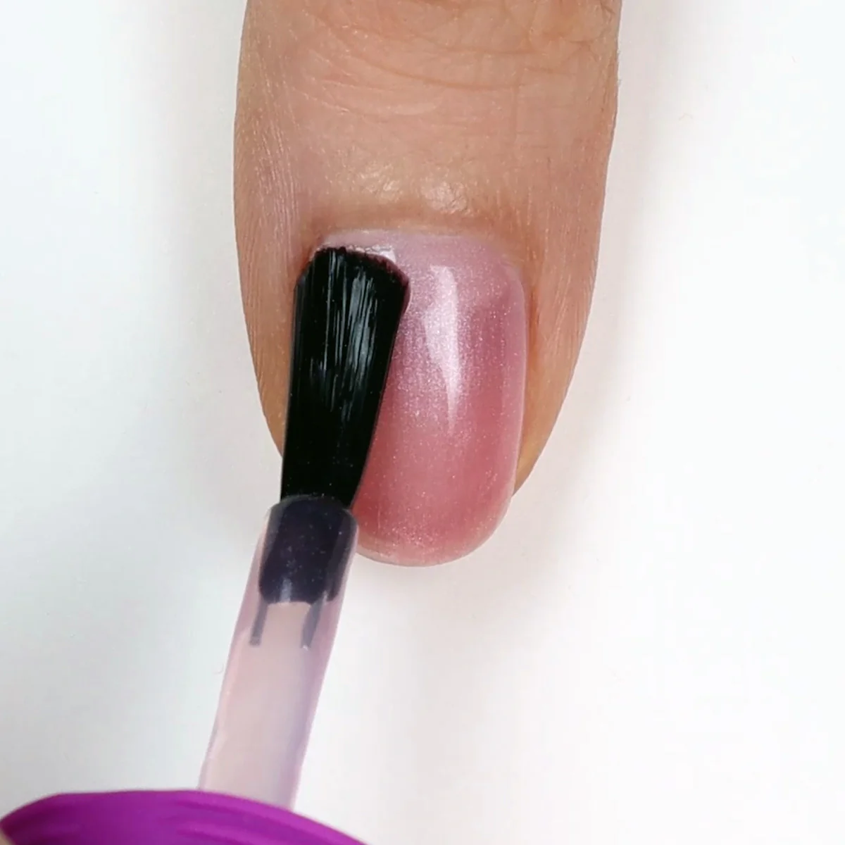 NAILTRITION - Image 4