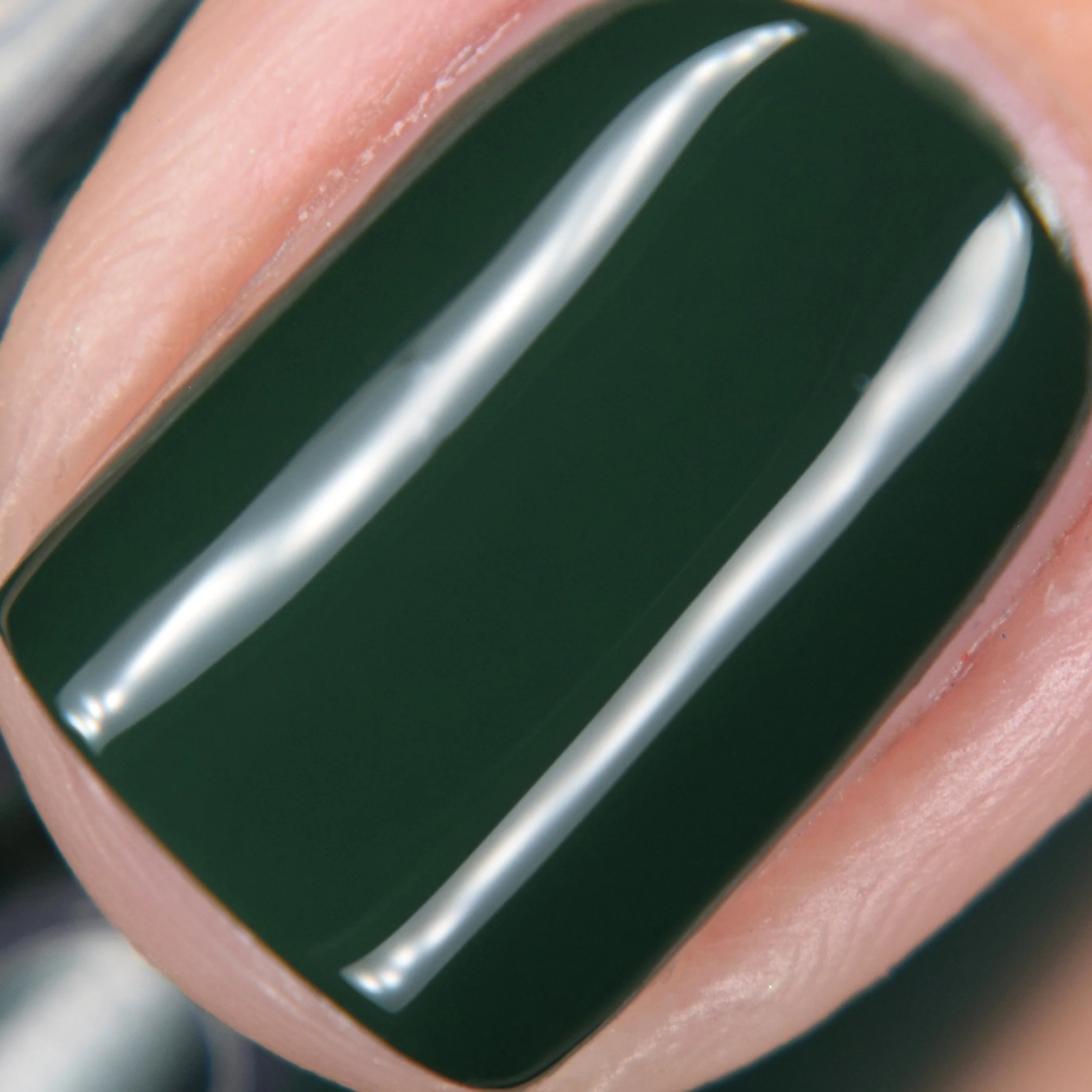 Pine-ing For You - Image 6