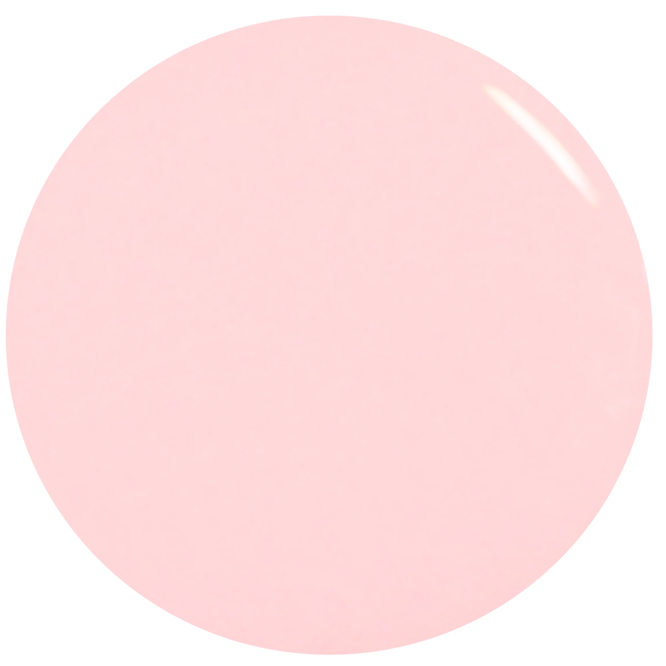 Strawberry Cream - Image 5